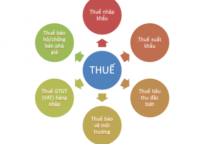 Làm Thế Nào Để Biết Được Thuế Suất Thuế Nhập Khẩu 