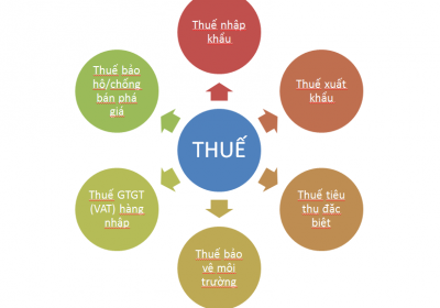 Làm Thế Nào Để Biết Được Thuế Suất Thuế Nhập Khẩu